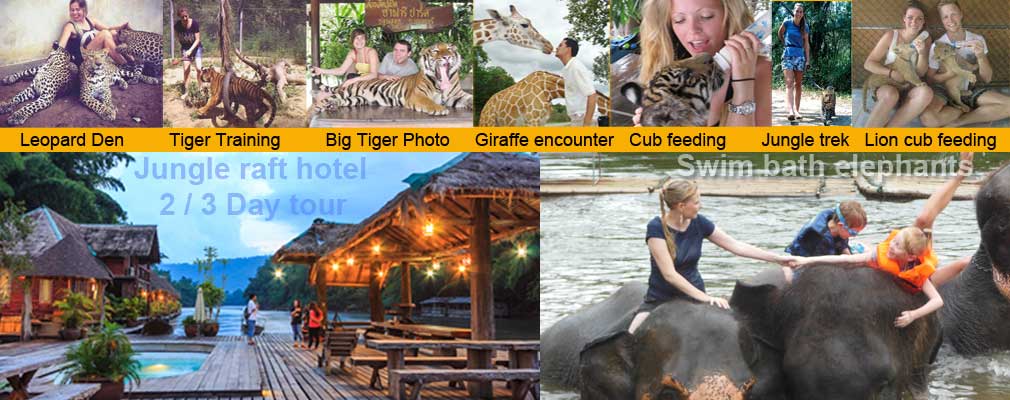 e Ultimate Jungle Tour with wild Animals Tigers Lions Leopards and a lot more.