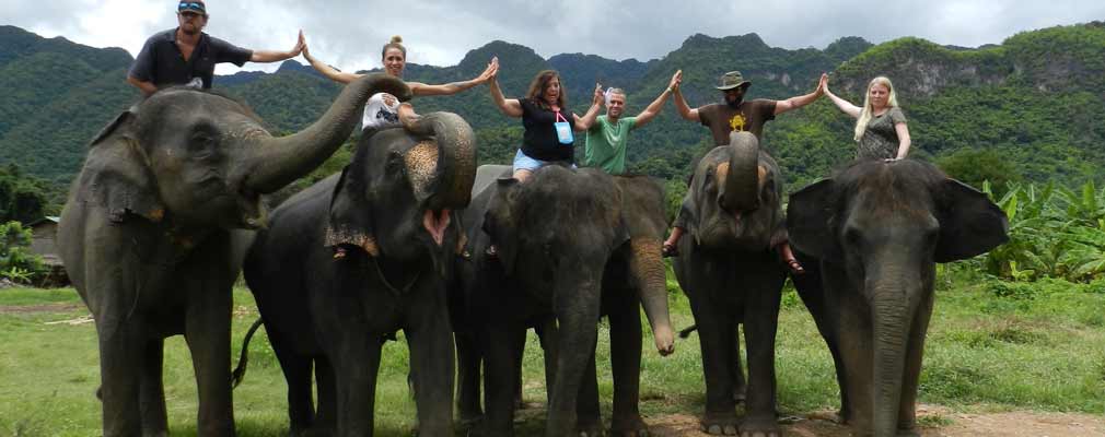 ED: Elephant Training Day Learn the commands for your elelphant Bath swim trekking