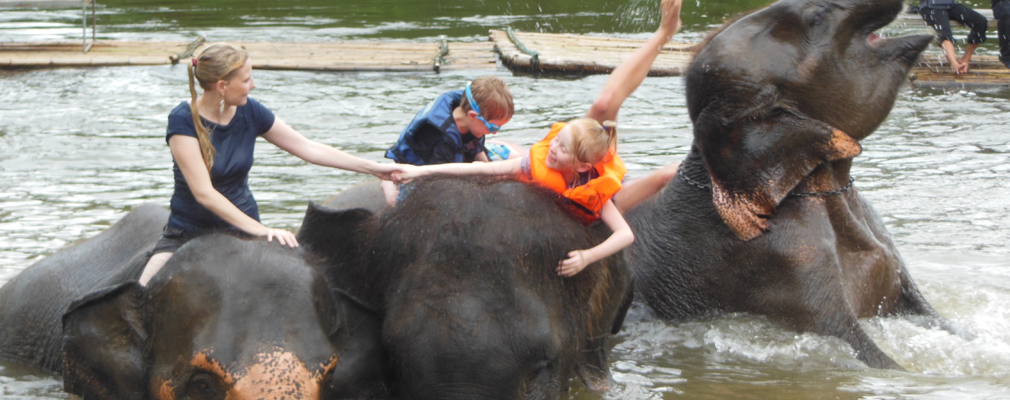 ED: Elephant training day and Bridge on the river Kwai option Floating Market