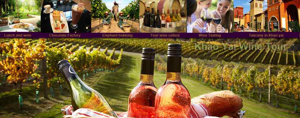 WT: 1 Day Wine Tour visit different wineyards Chocolate Factory Tuscany wine village