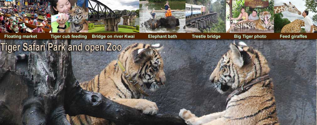 Tigers Safari Park Elephants Training Day baath swim trek and Option Elephant bathing